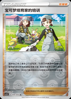 Bao Ke Meng Pei Yu Jia's Pei Xun Dynamax Tactics Y593