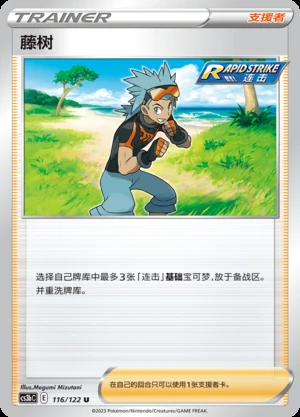 Teng Shu Primordial Arts Pokémon TCG Y698