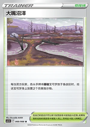 Da Zui Zhao Ze Overshadowed Radiance Pokémon TCG Y1084