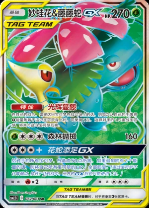 Venusaur & Snivy GX Striking Competition Y413