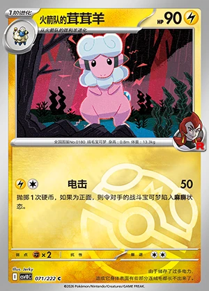 Team Rocket's Flaaffy Together in Pursuit of Glory P0180