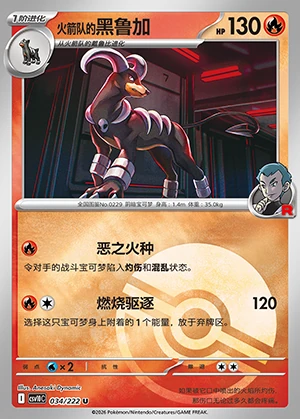 Team Rocket's Houndoom Together in Pursuit of Glory P0229