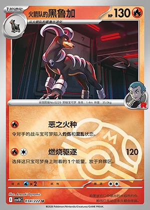 Team Rocket's Houndoom Together in Pursuit of Glory P0229