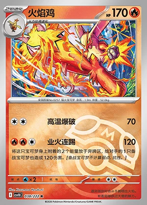 Blaziken Together in Pursuit of Glory P257