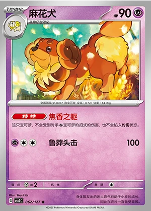 Dachsbun Ancient Times, Future Progress Pokémon TCG P0927