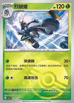 Lokix Miracle Journey P0920