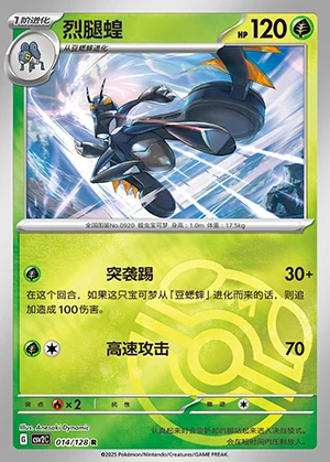 Lokix Miracle Journey P0920