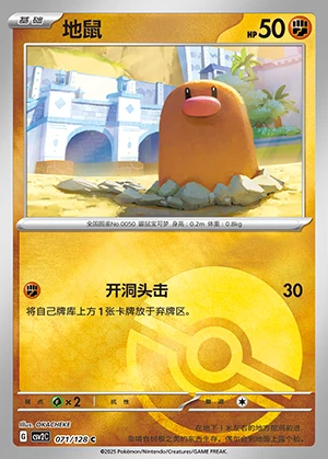 Diglett Miracle Journey Y395