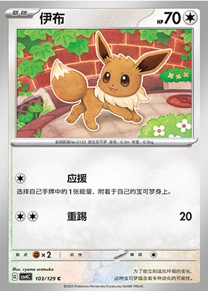 Eevee Bonus Round Pokémon TCG P133