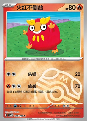 Darumaka Ardent Obsidian P554