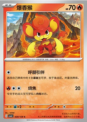 Pansear Arcane Truth Pokémon TCG P513