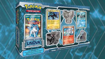 Legendary Dragons of Unova Collection — Pokémon TCG Collection / Box