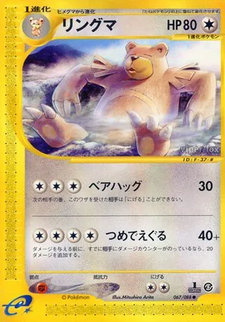 Ursaring No. 067/091