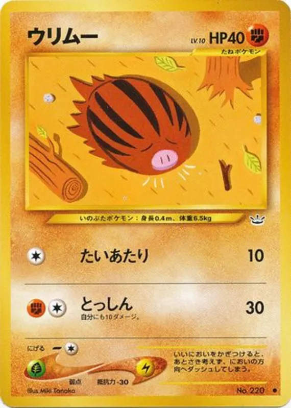 Swinub #38 of 57 · Pokédex No. 220