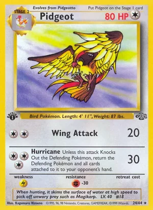 Pidgeot (24) 024/064 Rare, Jungle Pokémon TCG card