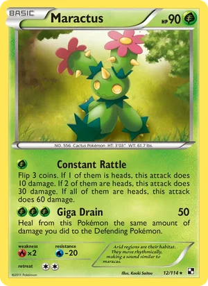 Maractus 12/114