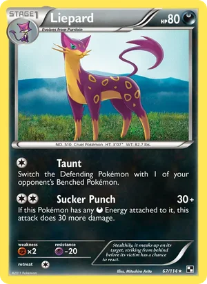 Liepard 67/114