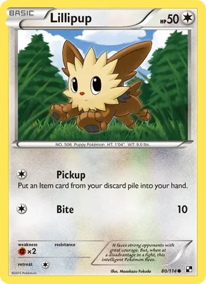 Lillipup 80/114