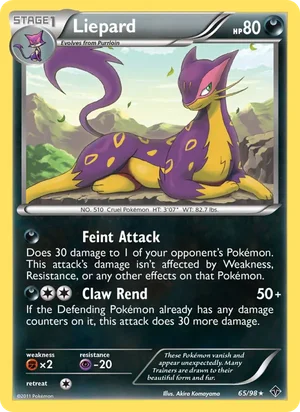 Liepard 65/98