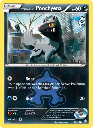 Team Aqua's Poochyena 16/34