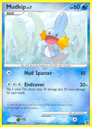 Mudkip 80/106