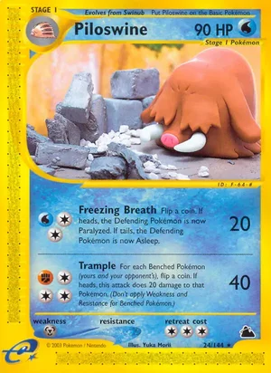 Piloswine 24/144