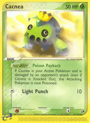 Cacnea 57/100