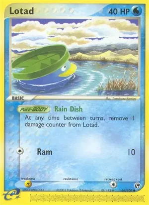 Lotad 66/100