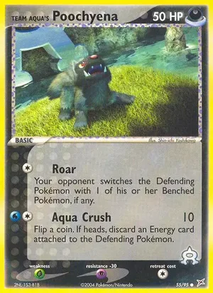 Team Aqua's Poochyena 55/95