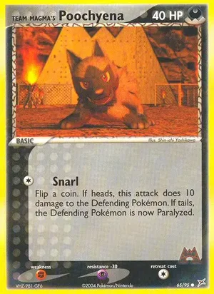 Team Magma's Poochyena 65/95