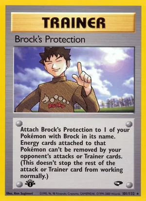 Brock's Protection 101/132