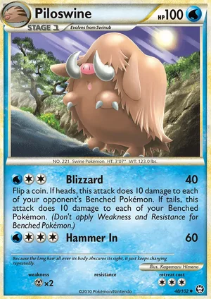 Piloswine 48/102