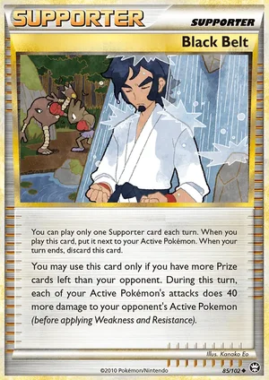 Black Belt 85/102