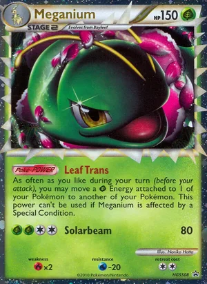 Meganium — Black Star Promo HGSS08