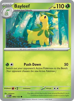 Bayleef 9/132