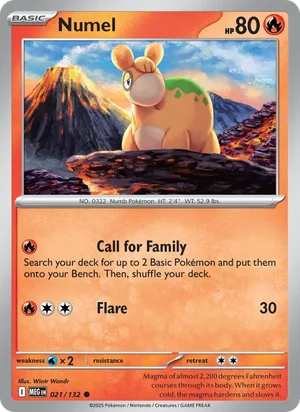 Numel 21/132