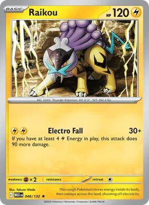 Raikou 48/132
