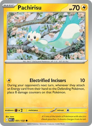 Pachirisu 51/132