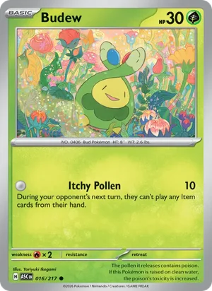 Budew 016/217 Common, Ascended Heroes Pokémon TCG card