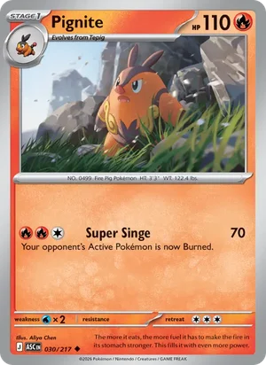 Pignite 030/217 Uncommon, Ascended Heroes Pokémon TCG card