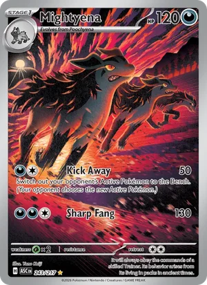 Mightyena 243/217 Illustration Rare, Ascended Heroes Pokémon TCG card