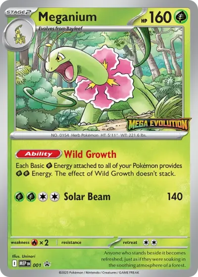 Meganium — Black Star Promo 001