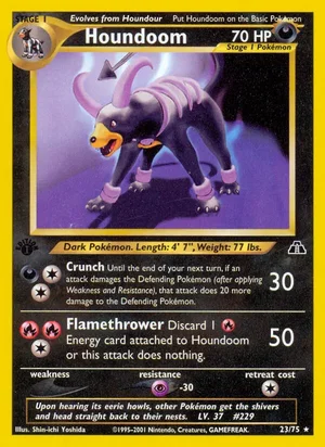 Houndoom 23/75