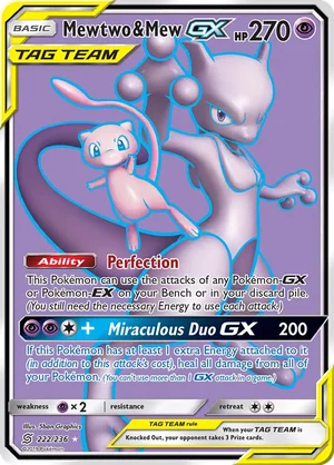Mewtwo & Mew-GX 222/236