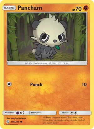 Pancham 119/236