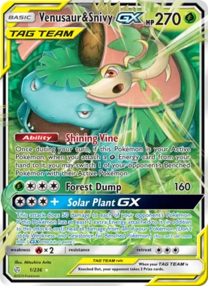 Venusaur & Snivy-GX 1/236