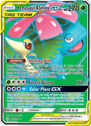 Venusaur & Snivy-GX 210/236