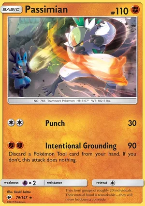 Passimian 79/147