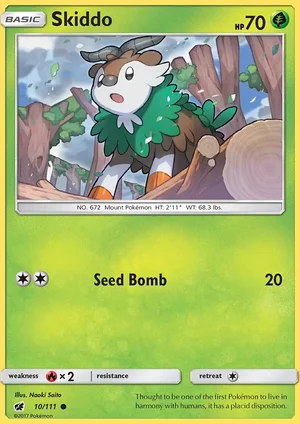 Skiddo 10/111