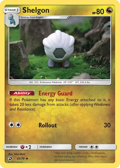 Shelgon 43/70